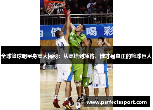 全球篮球明星身高大揭秘：从高塔到矮将，谁才是真正的篮球巨人
