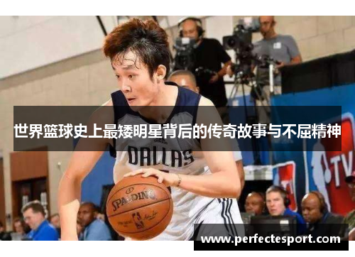 世界篮球史上最矮明星背后的传奇故事与不屈精神