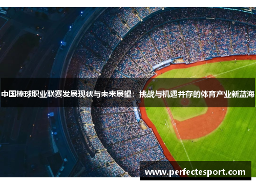 中国棒球职业联赛发展现状与未来展望:挑战与机遇并存的体育产业新蓝海