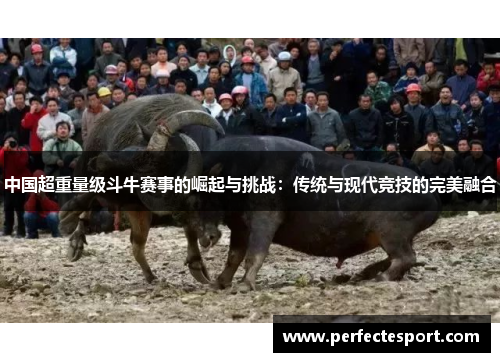 中国超重量级斗牛赛事的崛起与挑战:传统与现代竞技的完美融合