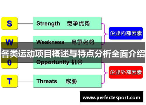 各类运动项目概述与特点分析全面介绍