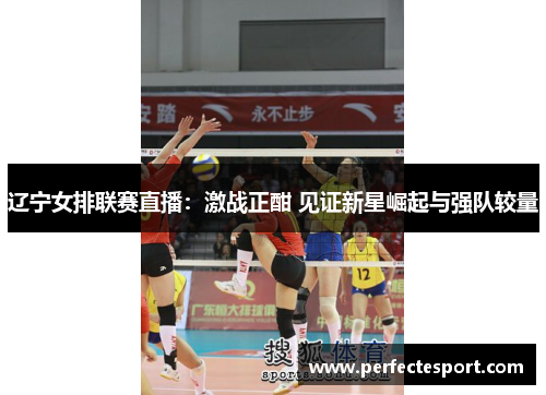 辽宁女排联赛直播：激战正酣 见证新星崛起与强队较量