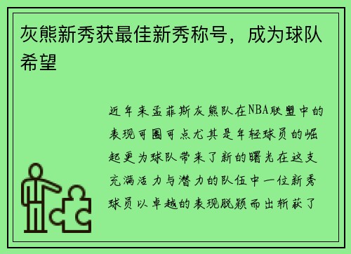 灰熊新秀获最佳新秀称号，成为球队希望